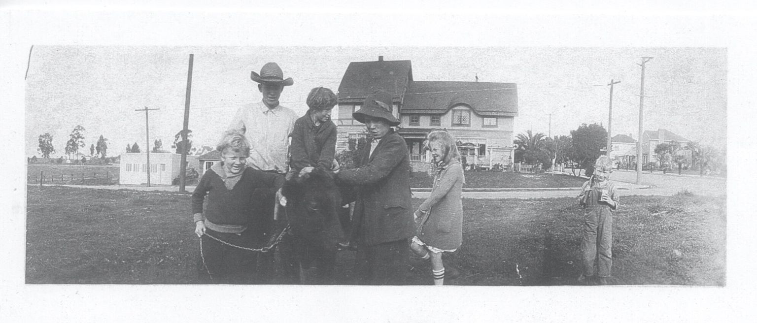 Adams Children and Cow